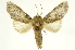  ( - INBIOCRI002343496)  @15 [ ] Copyright (2012) J. Montero INBio