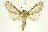  ( - INBIOCRI002343496)  @14 [ ] Copyright (2012) J. Montero INBio