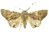  ( - INBIOCRI002343712)  @14 [ ] Copyright (2012) Juan Mata Lorenzen INBio