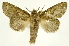  ( - INBIOCRI002344881)  @14 [ ] Copyright (2012) J. Montero INBio