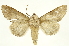  ( - INBIOCRI002344881)  @14 [ ] Copyright (2012) J. Montero INBio
