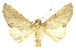  ( - INBIOCRI002353871)  @12 [ ] Copyright (2012) Juan Mata Lorenzen INBio