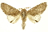  ( - INBIOCRI002355133)  @14 [ ] Copyright (2012) Juan Mata Lorenzen INBio