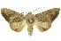  ( - INBIOCRI002356928)  @14 [ ] Copyright (2012) Juan Mata Lorenzen INBio