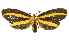  ( - INBIOCRI002361128)  @14 [ ] Copyright (2012) Juan Mata Lorenzen INBio