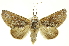  ( - INBIOCRI002361621)  @15 [ ] Copyright (2012) Juan Mata Lorenzen INBio