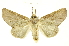  ( - INBIOCRI002361621)  @14 [ ] Copyright (2012) Juan Mata Lorenzen INBio