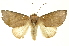  ( - INBIOCRI002364142)  @13 [ ] Copyright (2012) Juan Mata Lorenzen INBio
