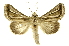  ( - INBIOCRI002364361)  @14 [ ] Copyright (2012) J. Montero INBio