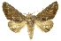  ( - INBIOCRI002365470)  @14 [ ] Copyright (2012) Juan Mata Lorenzen INBio