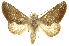  ( - INBIOCRI002365476)  @14 [ ] Copyright (2012) Juan Mata Lorenzen INBio