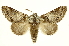  ( - INBIOCRI002365860)  @14 [ ] Copyright (2012) J. Montero INBio