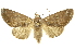  ( - INBIOCRI002374462)  @14 [ ] Copyright (2012) Juan Mata Lorenzen INBio