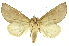  ( - INBIOCRI002377031)  @14 [ ] Copyright (2012) Juan Mata Lorenzen INBio