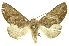  ( - INBIOCRI002381452)  @14 [ ] Copyright (2012) Juan Mata Lorenzen INBio
