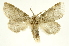  ( - INBIOCRI002386566)  @13 [ ] Copyright (2012) J. Montero INBio