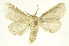  ( - INBIOCRI002386566)  @13 [ ] Copyright (2012) J. Montero INBio