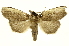  ( - INBIOCRI002393528)  @11 [ ] Copyright (2012) J. Montero INBio