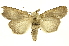  ( - INBIOCRI002393528)  @11 [ ] Copyright (2012) J. Montero INBio