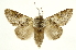  ( - INBIOCRI002394302)  @14 [ ] Copyright (2012) J. Montero INBio