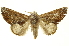  ( - INBIOCRI002394532)  @14 [ ] Copyright (2012) Juan Mata Lorenzen INBio
