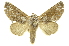 ( - INBIOCRI002399445)  @14 [ ] Copyright (2012) Juan Mata Lorenzen INBio