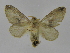  ( - INBIOCRI002406437)  @13 [ ] Copyright (2012) J. Montero Instituto Nacional de Biodiversidad