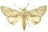  ( - INBIOCRI002407708)  @14 [ ] Copyright (2012) Juan Mata Lorenzen INBio