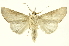  ( - INBIOCRI002407708)  @14 [ ] Copyright (2012) Juan Mata Lorenzen INBio