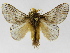  ( - INBIOCRI002407999)  @15 [ ] Copyright (2012) J. Montero Instituto Nacional de Biodiversidad