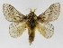  ( - INBIOCRI002408087)  @15 [ ] Copyright (2012) J. Montero Instituto Nacional de Biodiversidad
