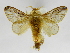  ( - INBIOCRI002410924)  @14 [ ] Copyright (2012) J. Montero Instituto Nacional de Biodiversidad