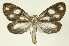  ( - INBIOCRI002412714)  @11 [ ] Copyright (2012) Juan Mata Lorenzen INBio