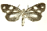  ( - INBIOCRI002412729)  @11 [ ] Copyright (2012) Juan Mata Lorenzen INBio