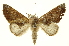  ( - INBIOCRI002413386)  @14 [ ] Copyright (2012) Juan Mata Lorenzen INBio