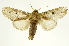  ( - INBIOCRI002429368)  @15 [ ] Copyright (2012) J. Montero INBio