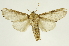  ( - INBIOCRI002429368)  @14 [ ] Copyright (2012) J. Montero INBio