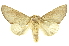  ( - INBIOCRI002436466)  @14 [ ] Copyright (2012) Juan Mata Lorenzen INBio