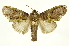 ( - INBIOCRI002437035)  @15 [ ] Copyright (2012) J. Montero INBio