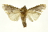  ( - INBIOCRI002437035)  @15 [ ] Copyright (2012) J. Montero INBio