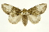  ( - INBIOCRI002437777)  @14 [ ] Copyright (2012) J. Montero INBio