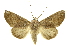  ( - INBIOCRI002442680)  @15 [ ] Copyright (2012) Juan Mata Lorenzen INBio