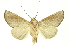  ( - INBIOCRI002442680)  @14 [ ] Copyright (2012) Juan Mata Lorenzen INBio