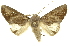  ( - INBIOCRI002450801)  @14 [ ] Copyright (2012) Juan Mata Lorenzen INBio