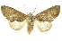  ( - INBIOCRI002451152)  @11 [ ] Copyright (2012) Juan Mata Lorenzen Unspecified