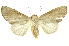  ( - INBIOCRI002451152)  @11 [ ] Copyright (2012) Juan Mata Lorenzen Unspecified