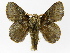  ( - INBIOCRI002457388)  @11 [ ] Copyright (2012) J. Montero Instituto Nacional de Biodiversidad