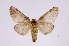  ( - INBIOCRI002457398)  @11 [ ] Copyright (2012) I. Chacon Instituto Nacional de Biodiversidad