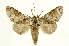  ( - INBIOCRI002462464)  @14 [ ] Copyright (2012) J. Montero INBio