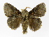  ( - INBIOCRI002466787)  @11 [ ] Copyright (2012) J. Montero Instituto Nacional de Biodiversidad